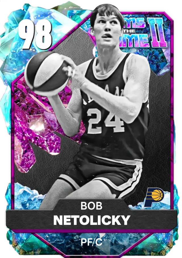 Bob Netolicky Autographed ABA Basketball Limited Edition
